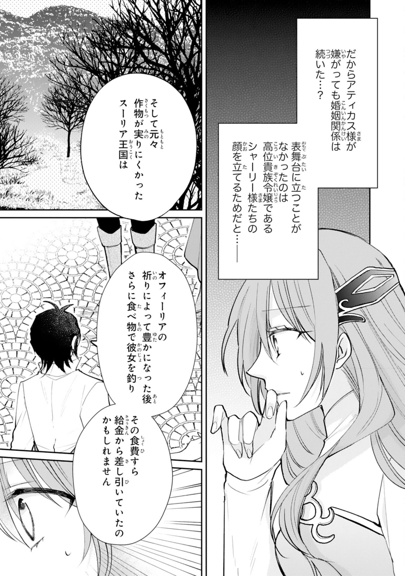 精霊に愛されすぎた腹ペコ聖女、追放されたけど隣国王太子に溺愛されて幸せいっぱいです 第9話 - 5