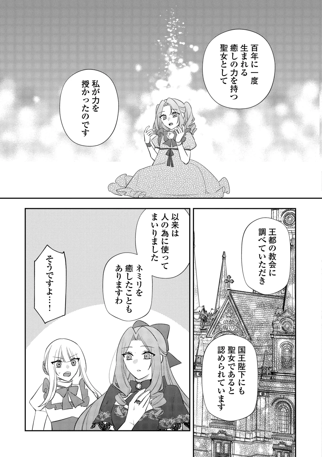 前世で処刑された聖女、今は黒薬師と呼ばれています 第10話 - 3