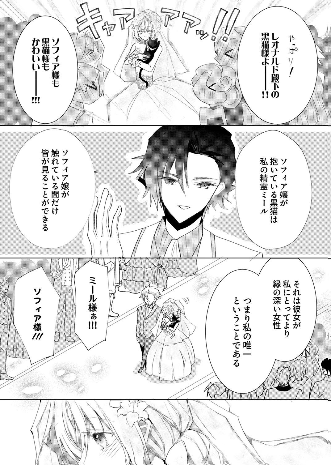 私のことは諦めてください!～策士な皇太子と素顔を隠すモブ令嬢の溺愛攻防～ 第12話 - 15