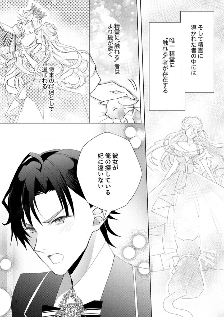 私のことは諦めてください!～策士な皇太子と素顔を隠すモブ令嬢の溺愛攻防～ 第2話 - 25