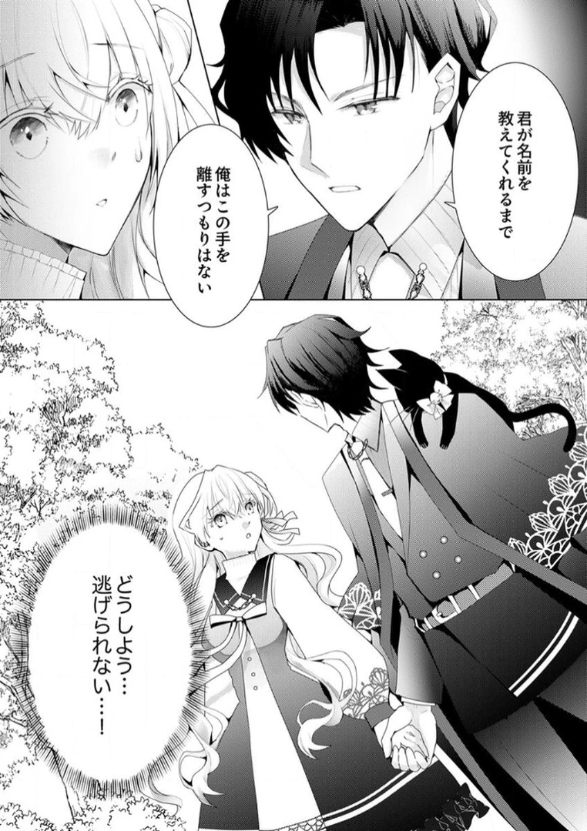 私のことは諦めてください!～策士な皇太子と素顔を隠すモブ令嬢の溺愛攻防～ 第1話 - 30
