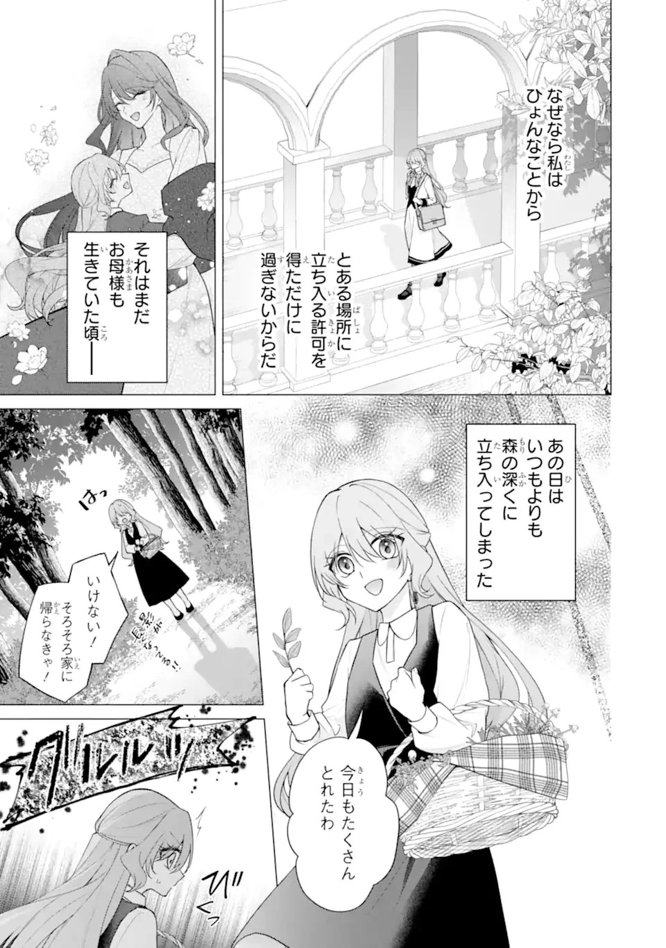 訳あり公爵令嬢の逃亡計画～腹黒竜騎士殿下の執着愛が重すぎて逃げられる気がしません～ 第3話 - 7