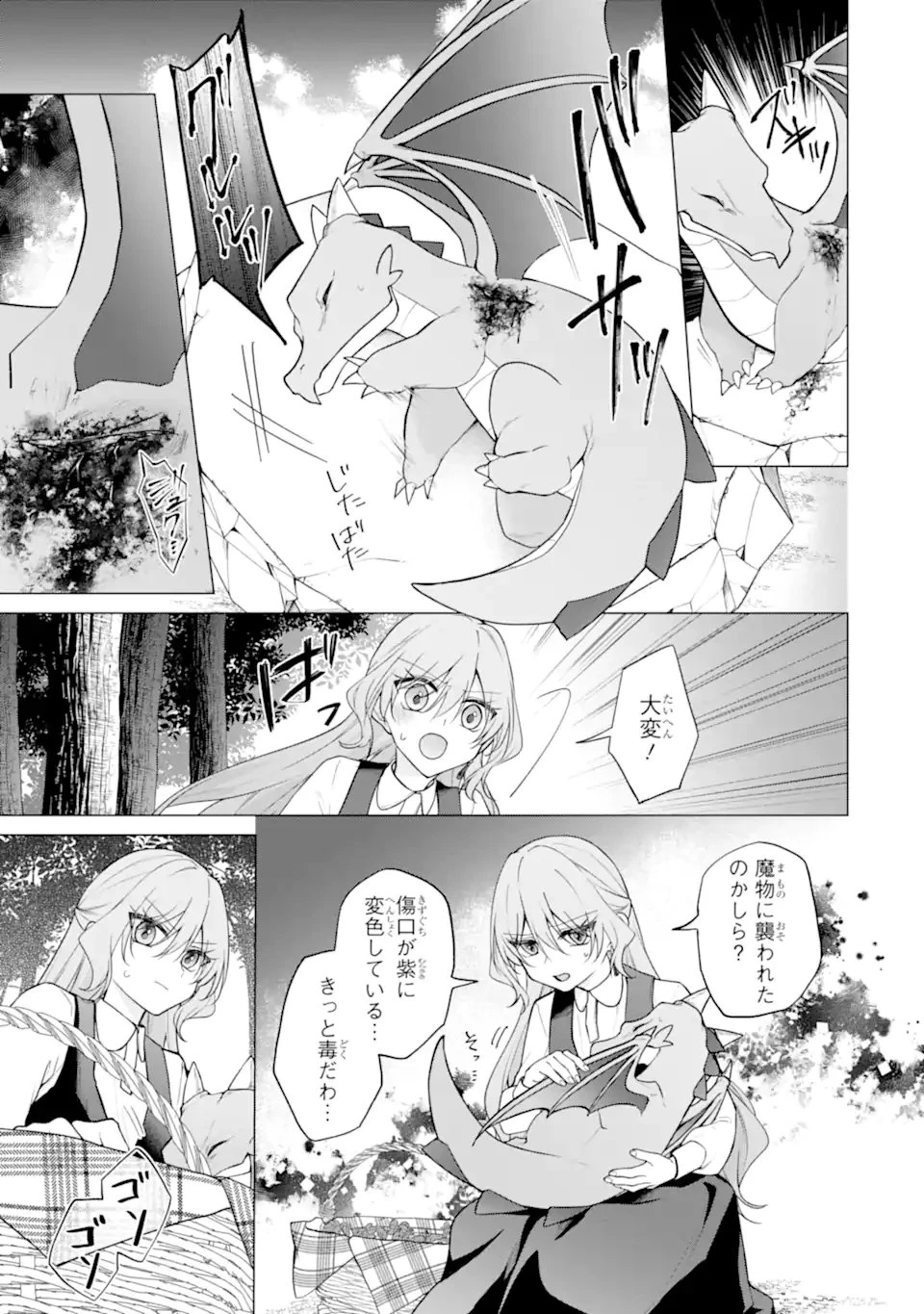 訳あり公爵令嬢の逃亡計画～腹黒竜騎士殿下の執着愛が重すぎて逃げられる気がしません～ 第3話 - 9