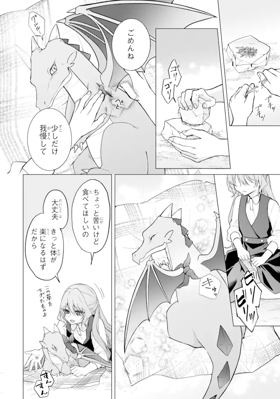 訳あり公爵令嬢の逃亡計画～腹黒竜騎士殿下の執着愛が重すぎて逃げられる気がしません～ 第3話 - 10