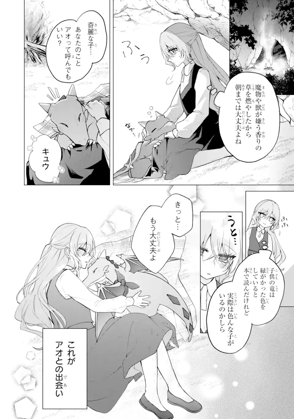 訳あり公爵令嬢の逃亡計画～腹黒竜騎士殿下の執着愛が重すぎて逃げられる気がしません～ 第3話 - 12