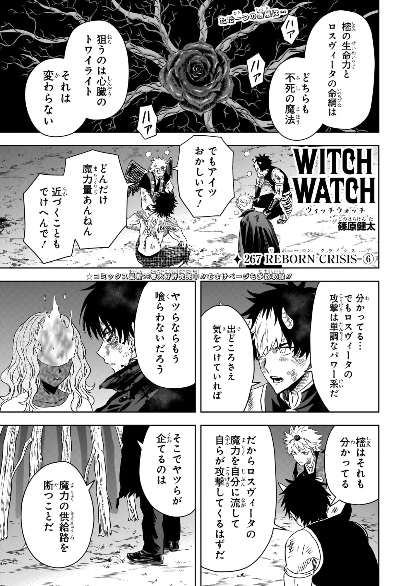 ウィッチ ウォッチ 第267話 - 1