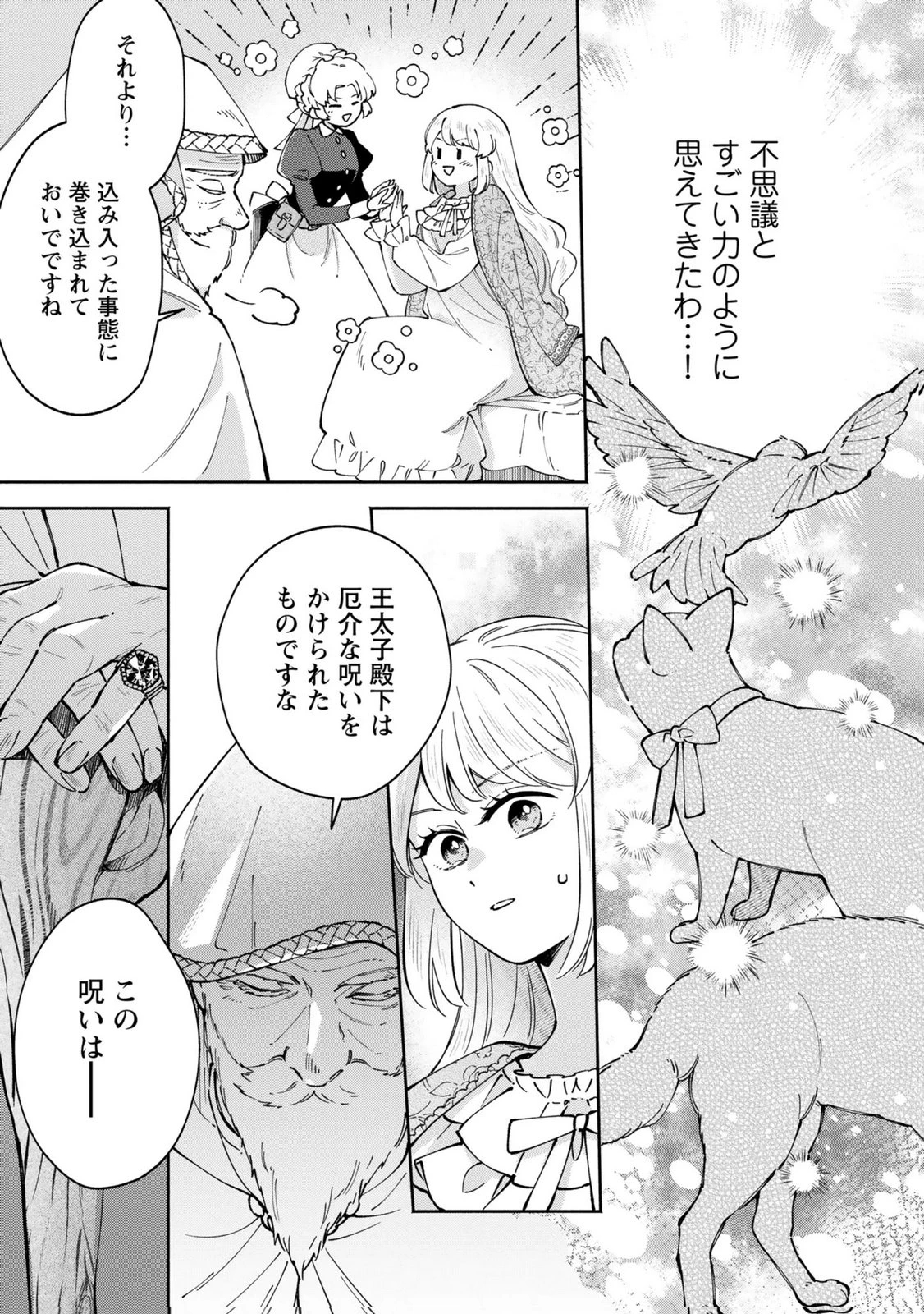 婚約した理想の王子が呪われていました 第10話 - 17