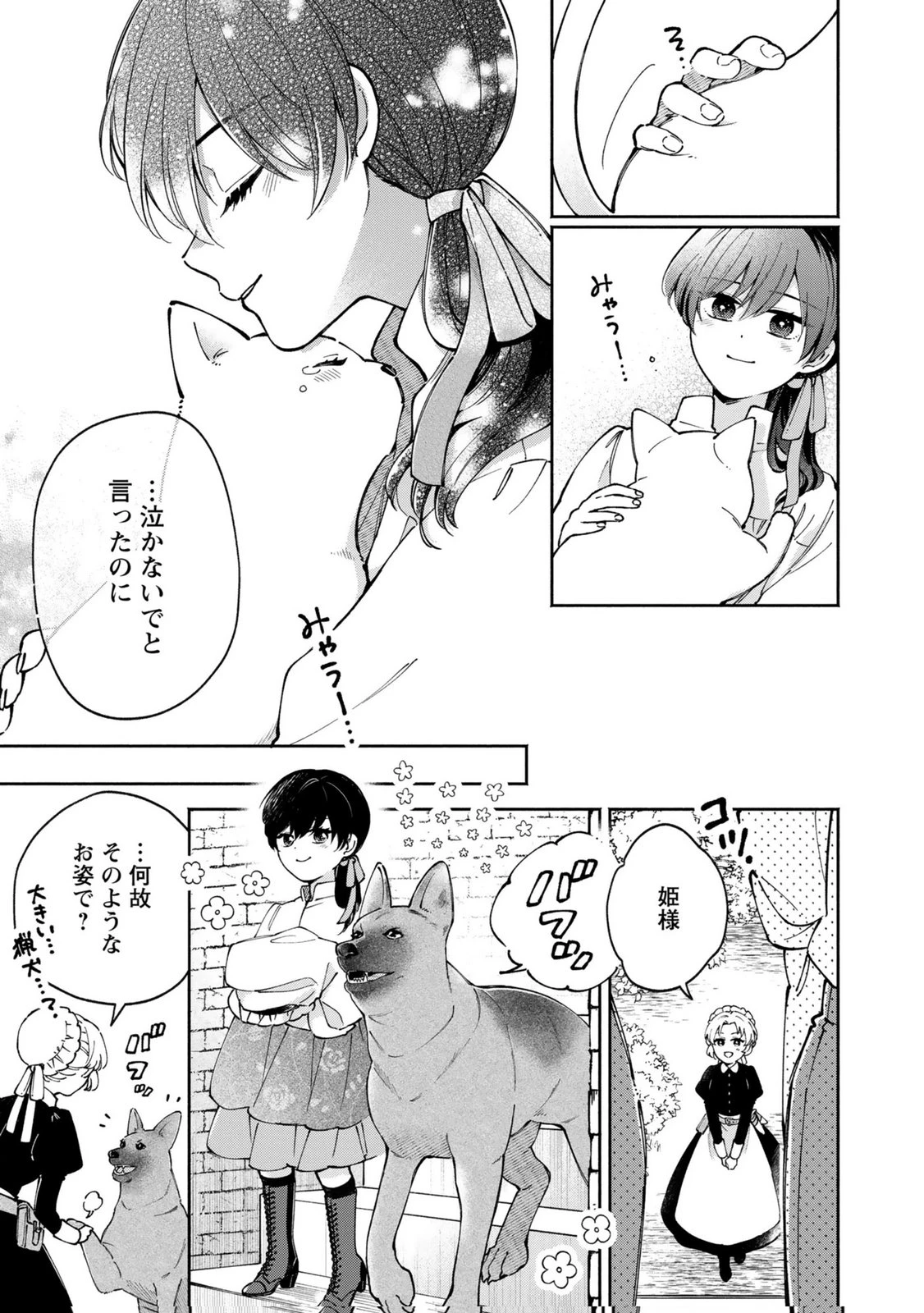 婚約した理想の王子が呪われていました 第11話 - 25
