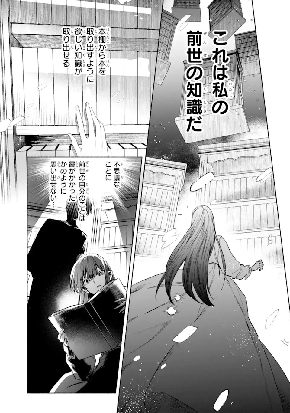 夫に愛されなかった公爵夫人の離婚調停 第1話 - 23