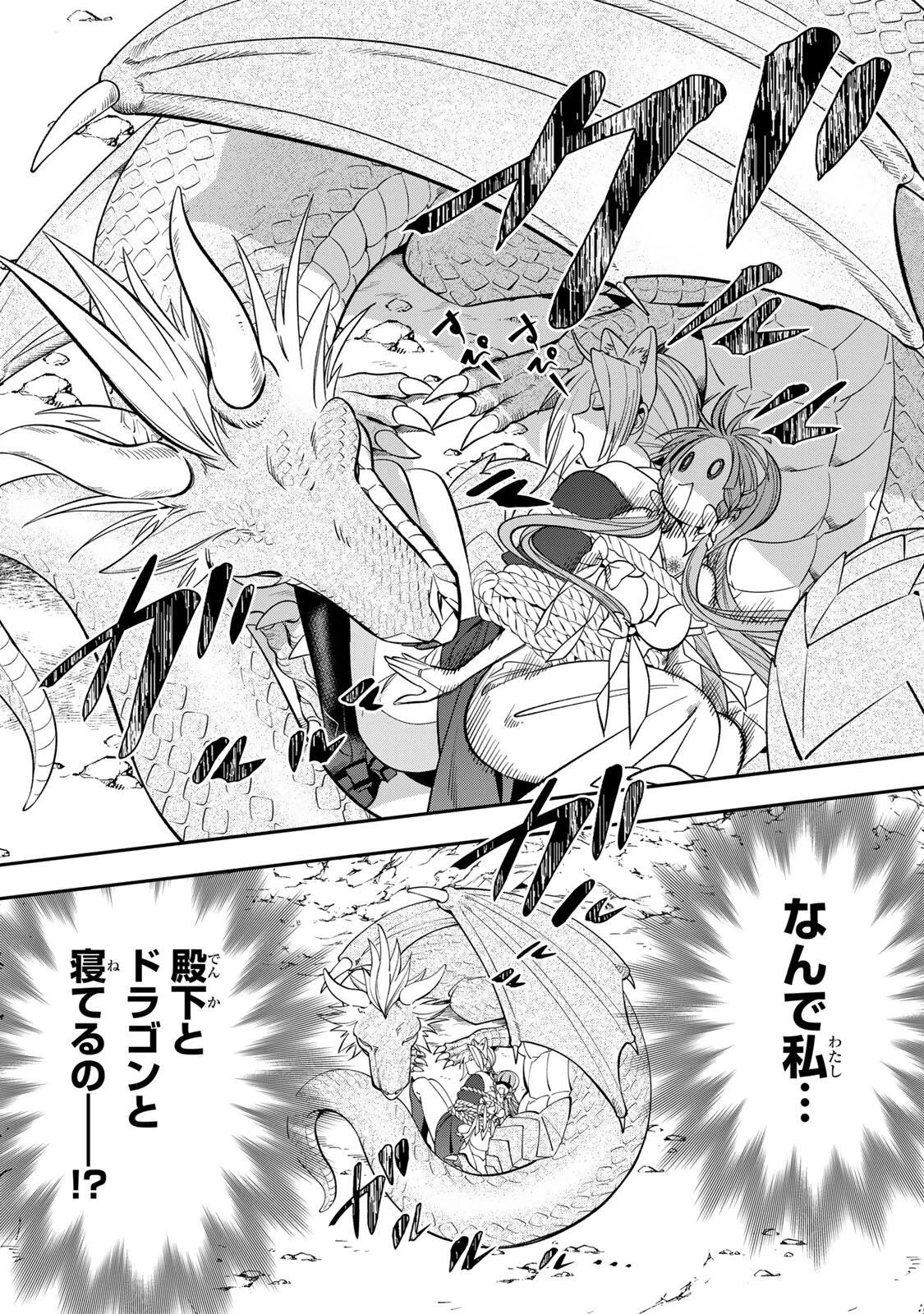 酒乱令嬢のやらかし〜政略結婚前にヤケ酒、気がつくと冷酷な婚約者とドラゴンの巣の中〜 第1話 - 42