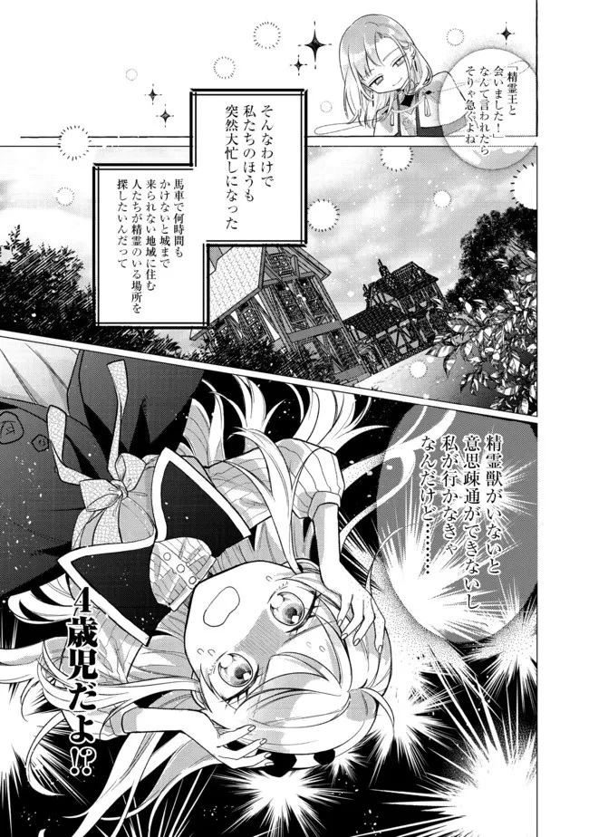 転生令嬢は精霊に愛されて最強です……だけど普通に恋したい！＠COMIC 第6話 - 19