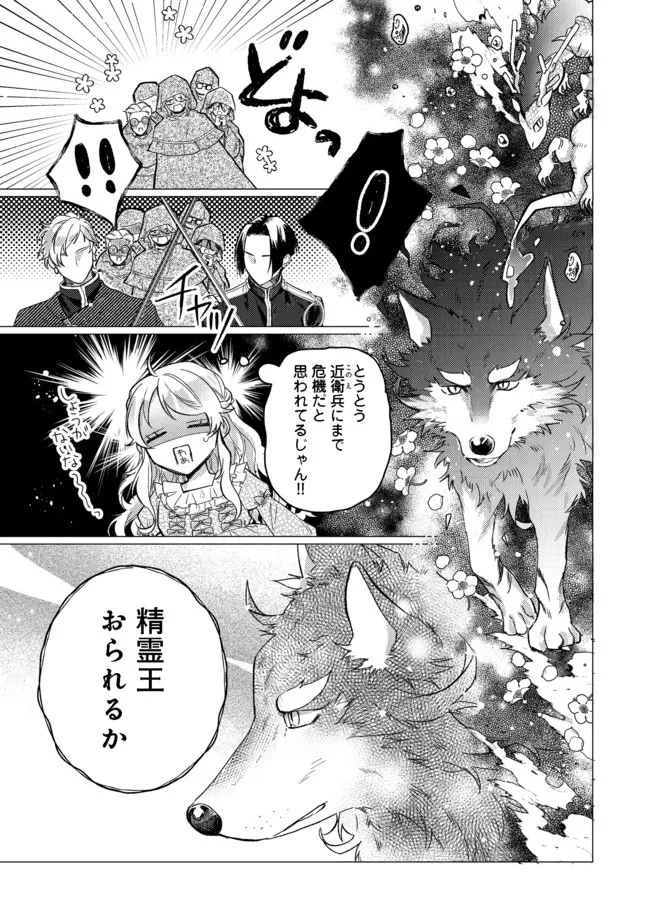 転生令嬢は精霊に愛されて最強です……だけど普通に恋したい！＠COMIC 第7話 - 13