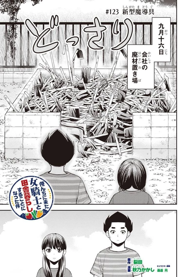 俺んちに来た女騎士と田舎暮らしすることになった件 第123話 - 1