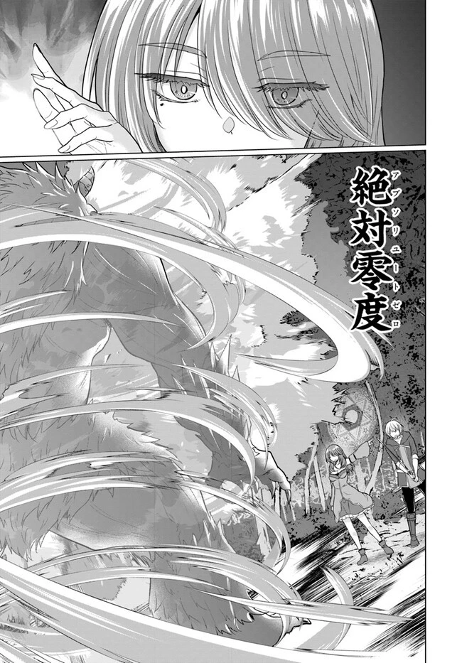 勇者に全部奪われた俺は勇者の母親とパーティを組みました！ 第12話 - 17