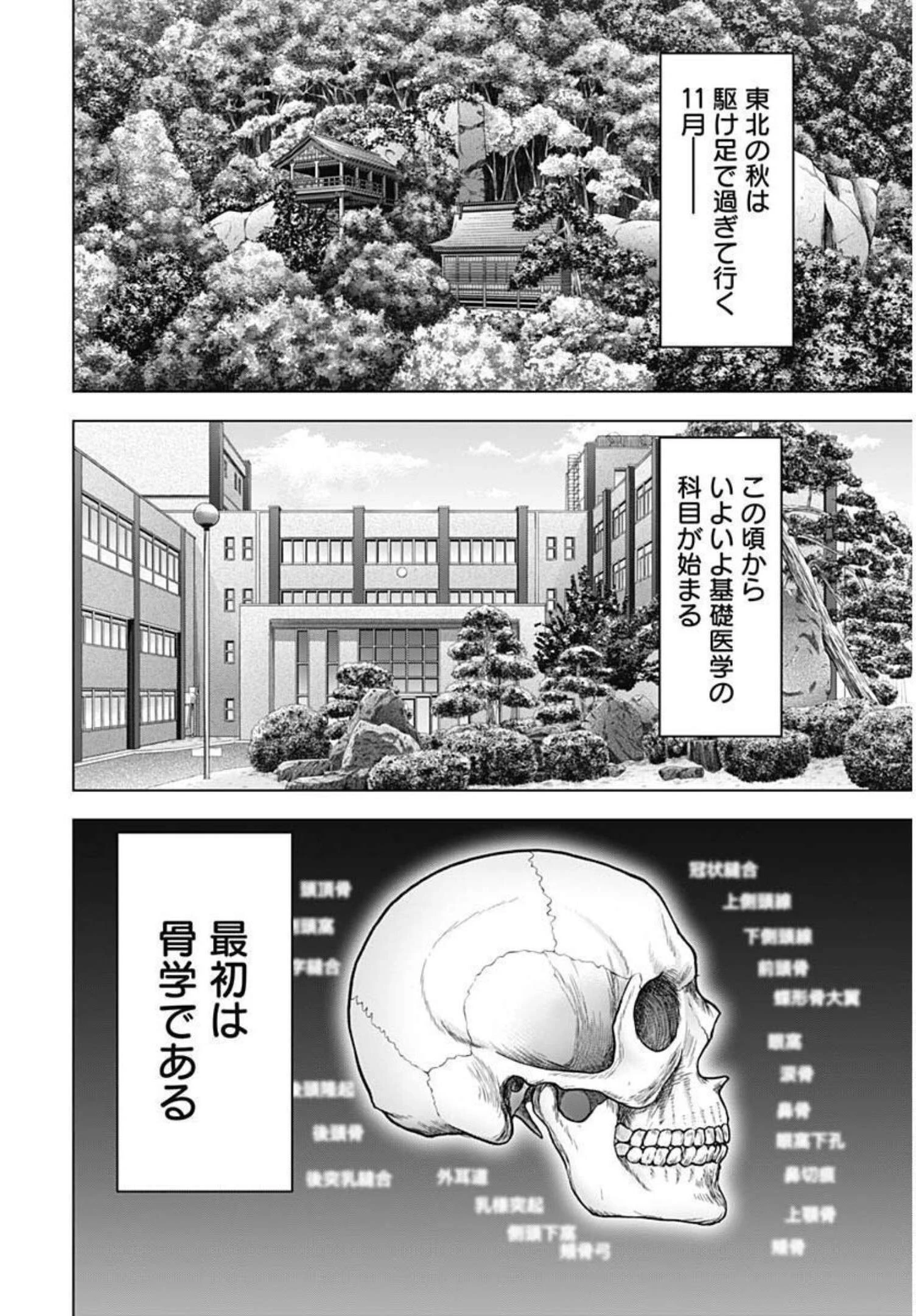 Dr.Eggs ドクターエッグス 第5話 - 4