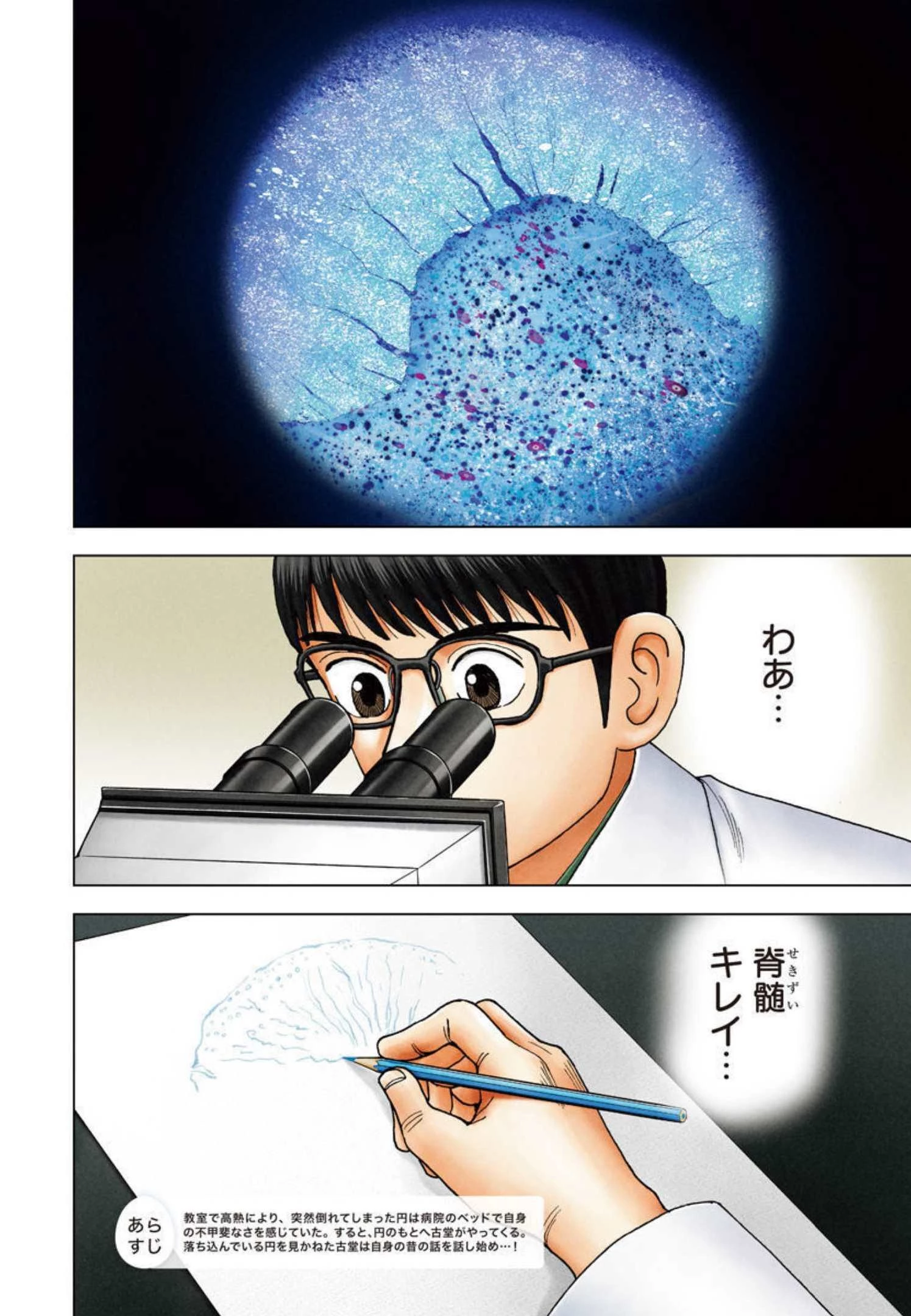 Dr.Eggs ドクターエッグス 第19話 - 2