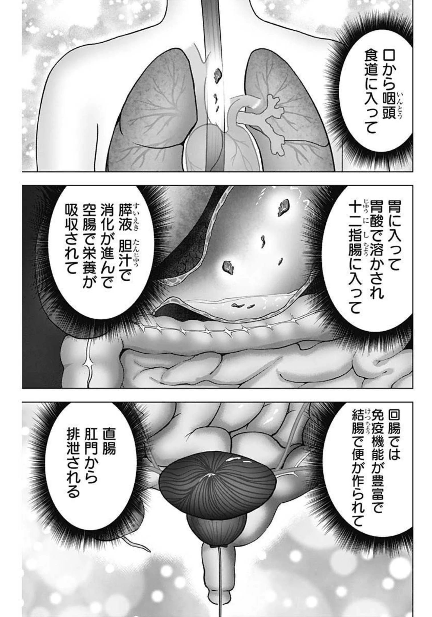 Dr.Eggs ドクターエッグス 第21話 - 5