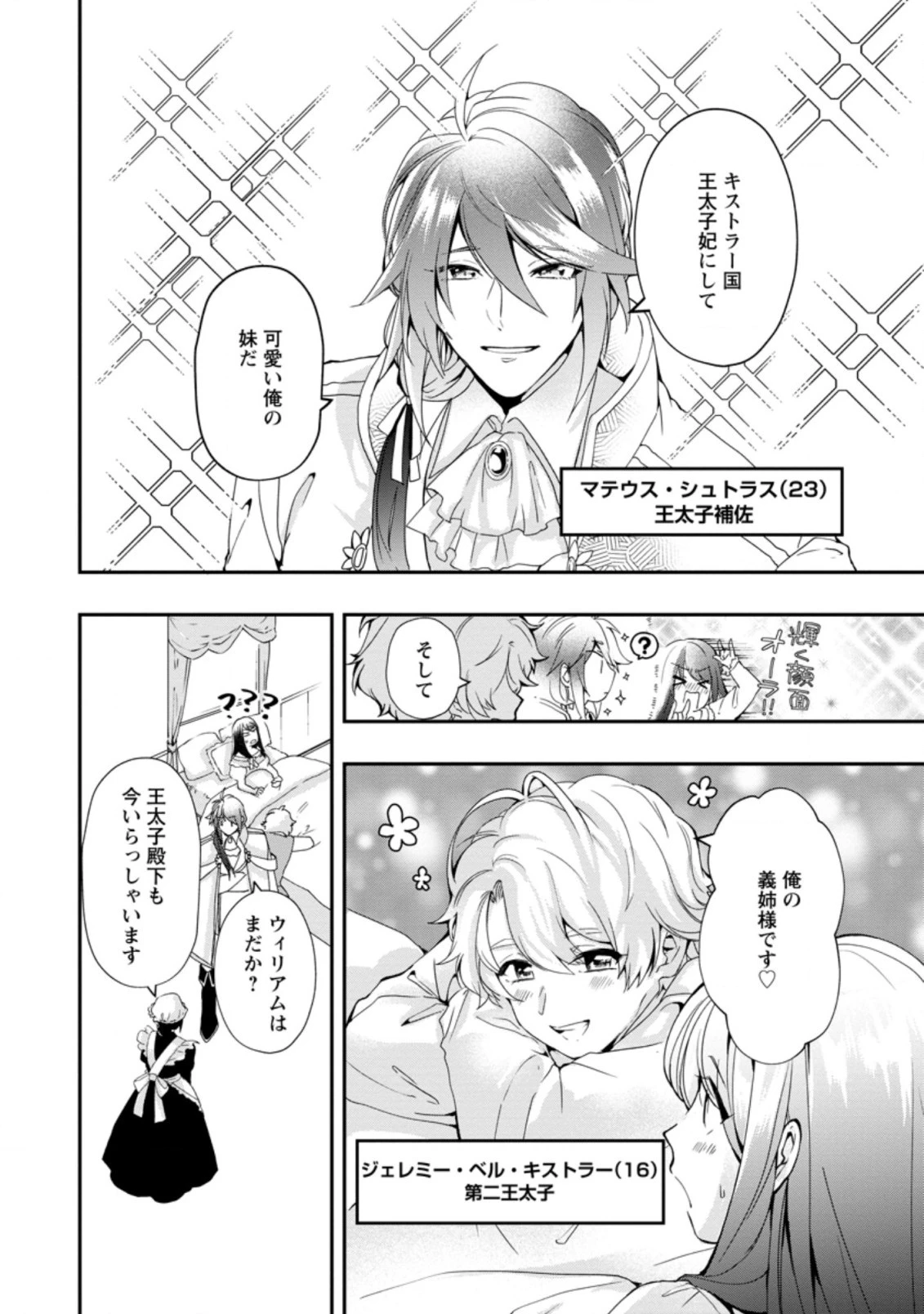 悪役令嬢は旦那様と離縁がしたい! ～好き勝手やっていたのに何故か『王太子妃の鑑』なんて呼ばれているのですが～ 第1.1話 - 10