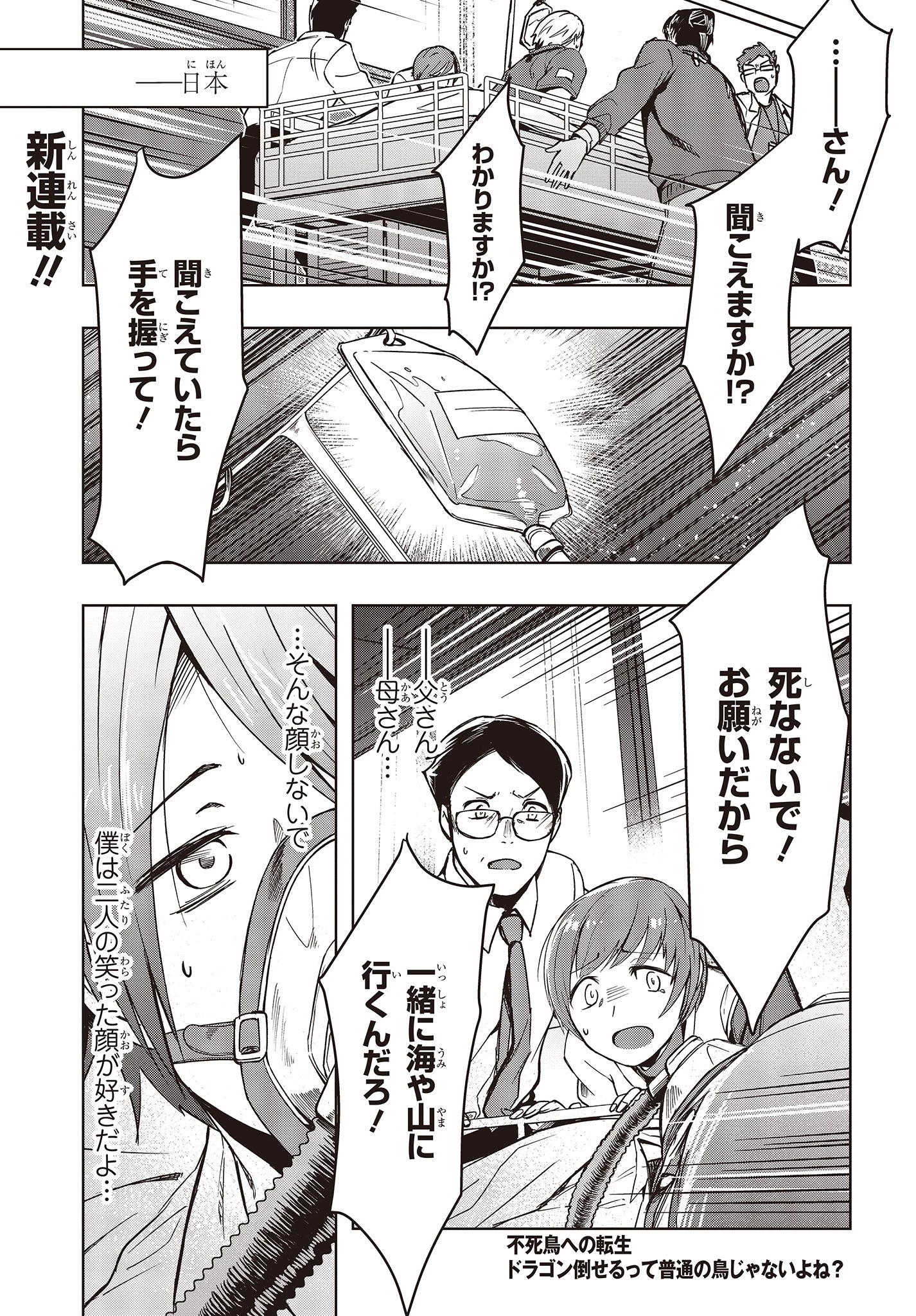 不死鳥への転生 ドラゴン倒せるって普通の鳥じゃないよね？ 第1話 - 1