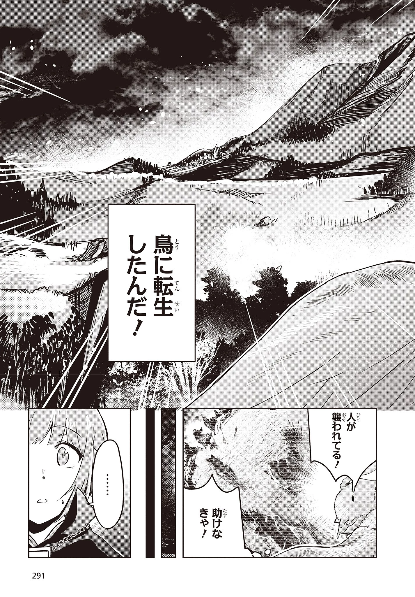 不死鳥への転生 ドラゴン倒せるって普通の鳥じゃないよね？ 第1話 - 11