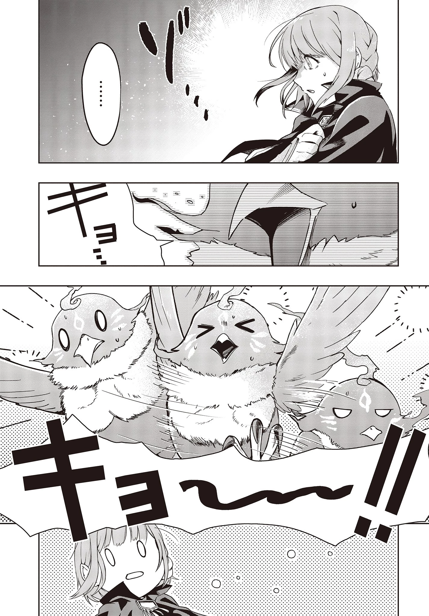 不死鳥への転生 ドラゴン倒せるって普通の鳥じゃないよね？ 第1話 - 13