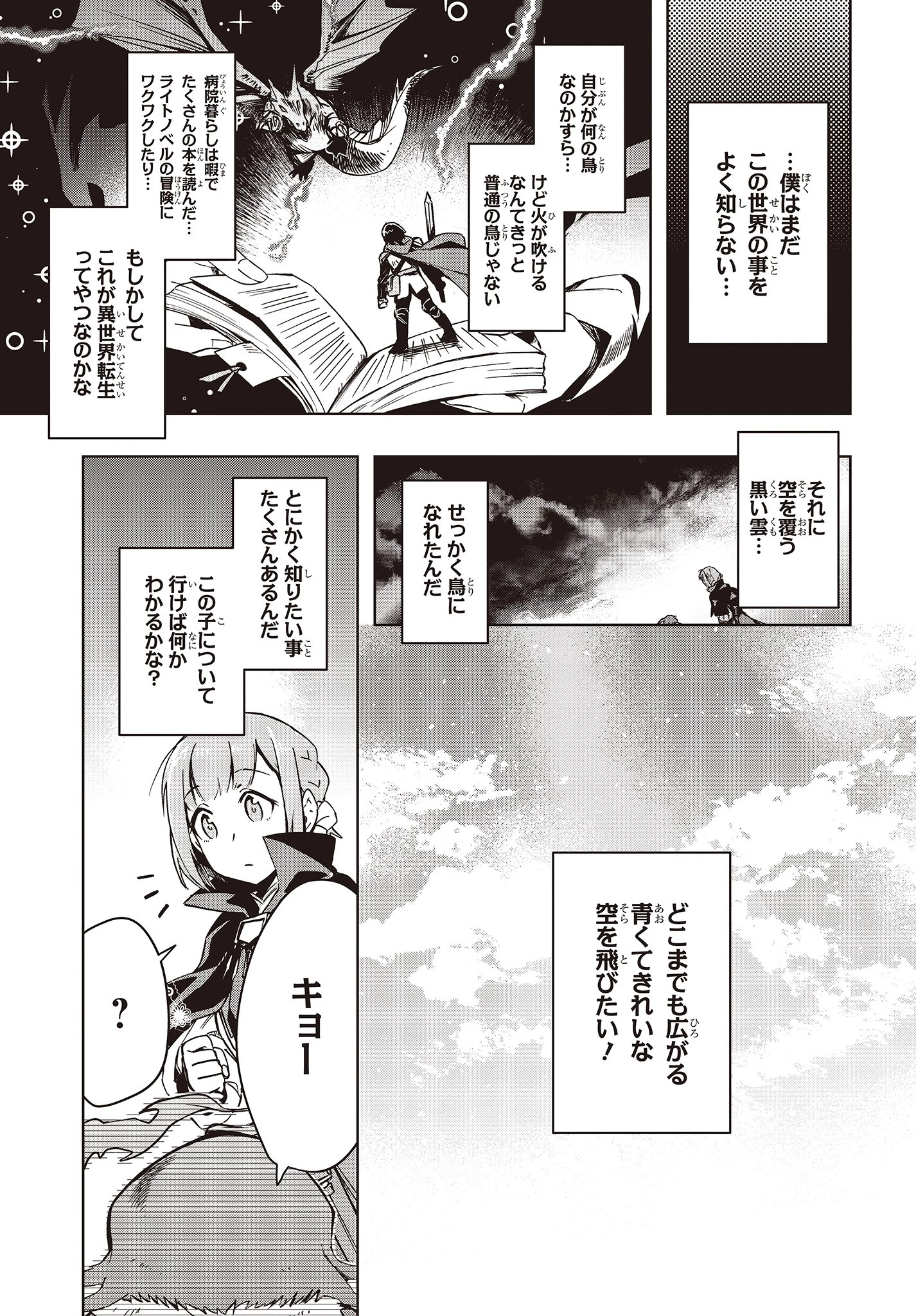 不死鳥への転生 ドラゴン倒せるって普通の鳥じゃないよね？ 第1話 - 17