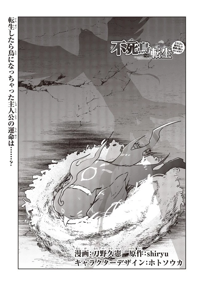 不死鳥への転生 ドラゴン倒せるって普通の鳥じゃないよね？ 第2話 - 1