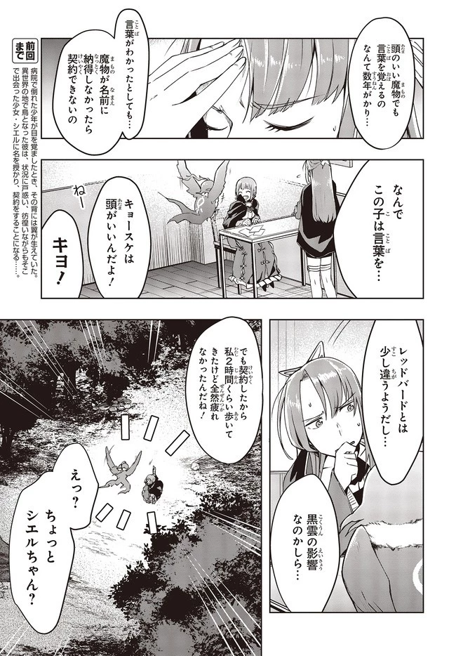 不死鳥への転生 ドラゴン倒せるって普通の鳥じゃないよね？ 第2話 - 3