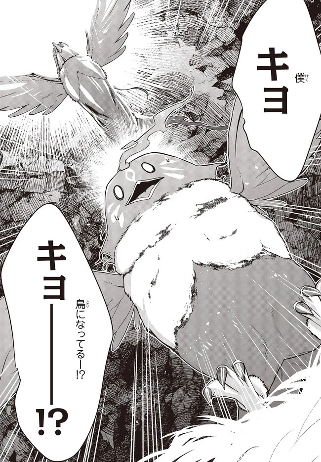 不死鳥への転生 ドラゴン倒せるって普通の鳥じゃないよね？ 第2話 - 9