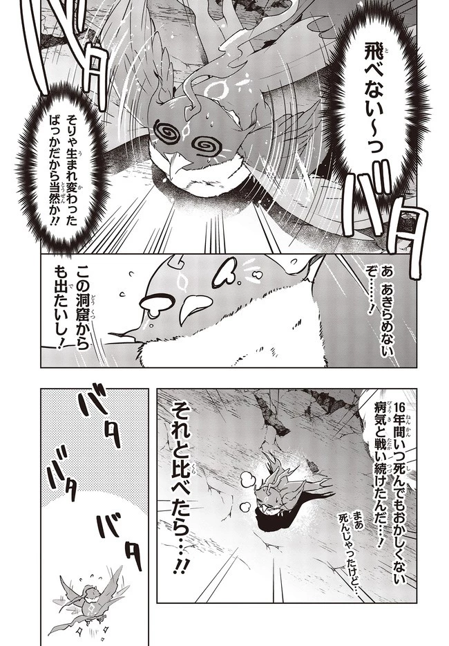 不死鳥への転生 ドラゴン倒せるって普通の鳥じゃないよね？ 第2話 - 11