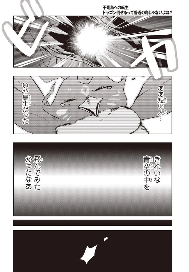 不死鳥への転生 ドラゴン倒せるって普通の鳥じゃないよね？ 第2話 - 24