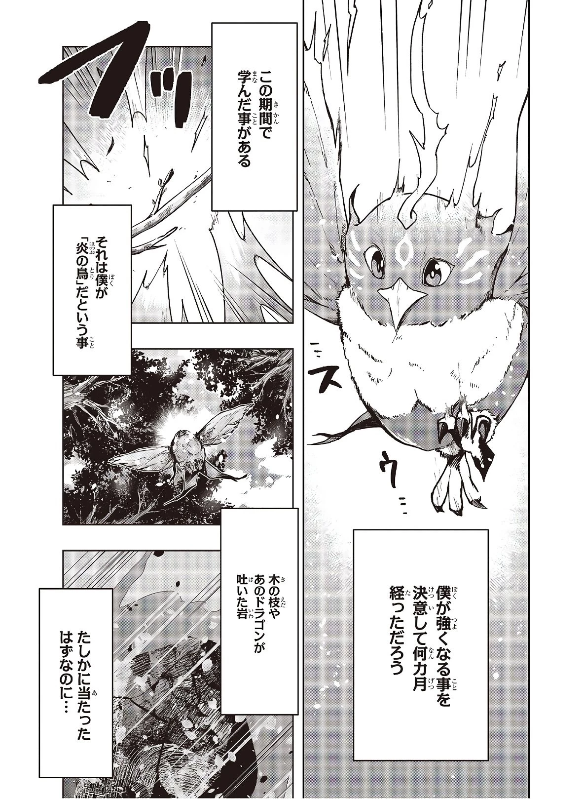 不死鳥への転生 ドラゴン倒せるって普通の鳥じゃないよね？ 第3話 - 3