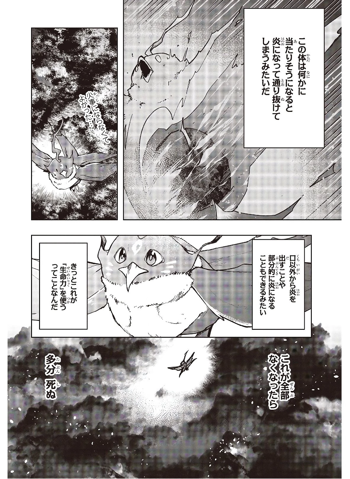 不死鳥への転生 ドラゴン倒せるって普通の鳥じゃないよね？ 第3話 - 4