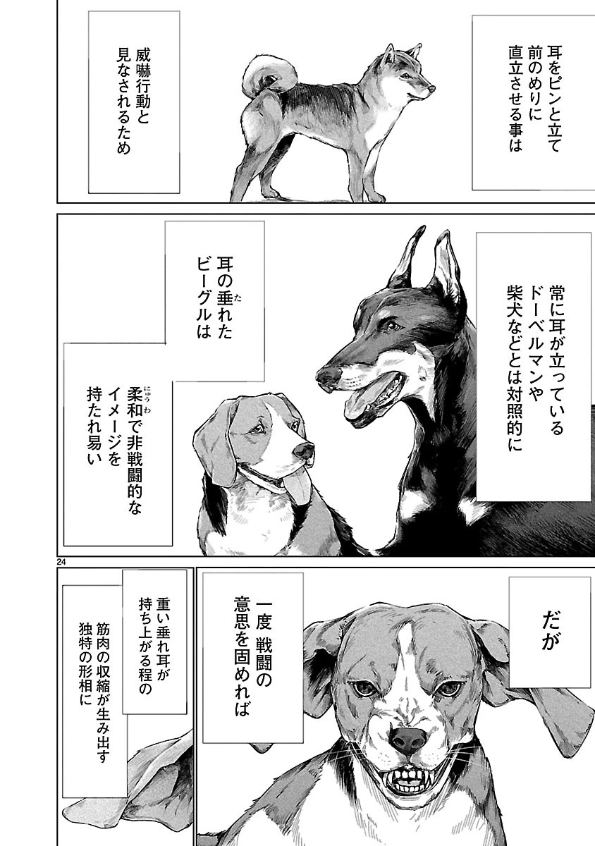 キリングバイツ 第66話 - 24