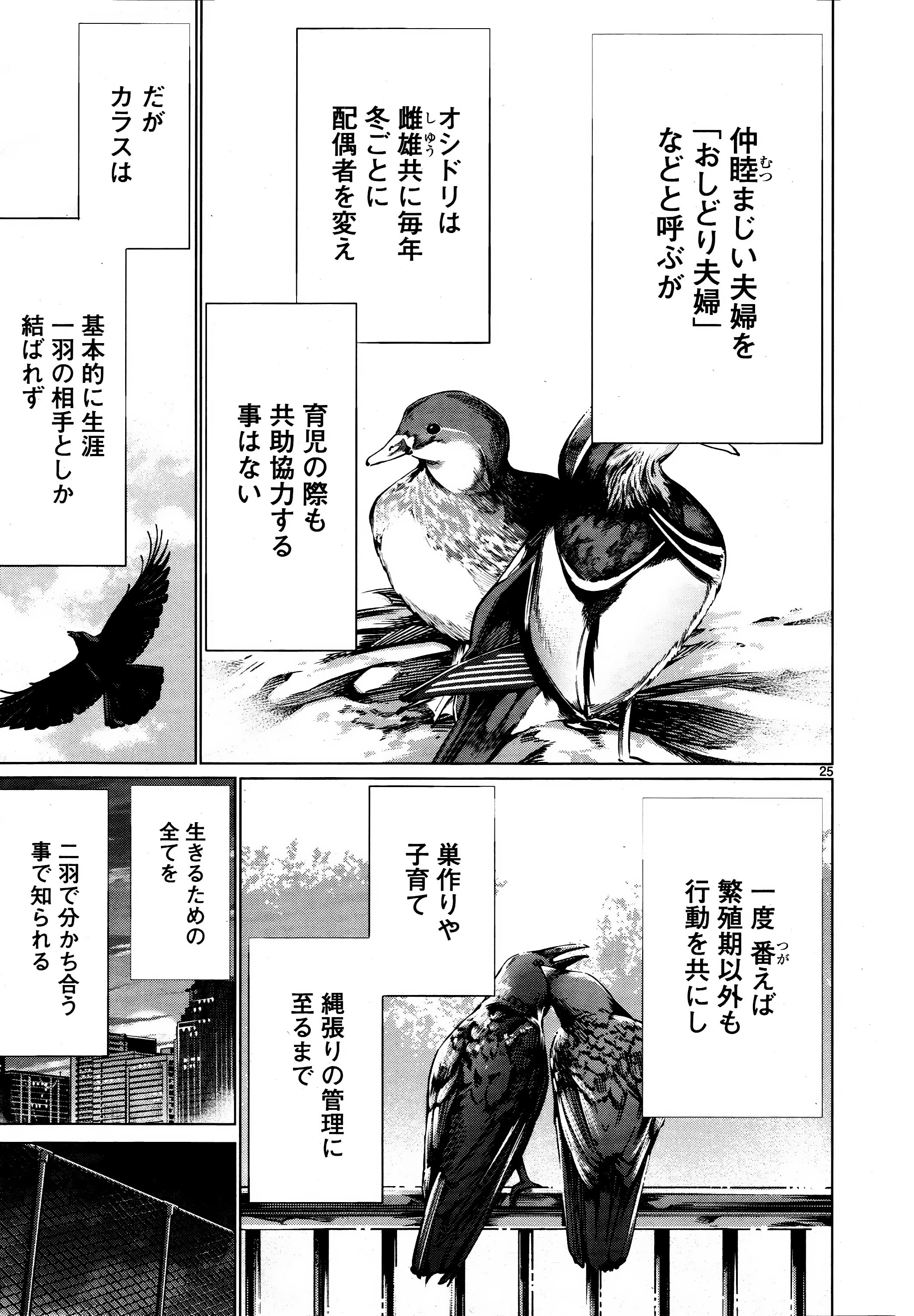 キリングバイツ 第72話 - 25