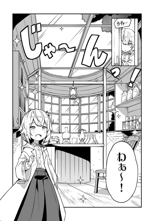 王都の外れの錬金術師 ～ハズレ職業だったので、のんびりお店経営します～ 第1話 - 55