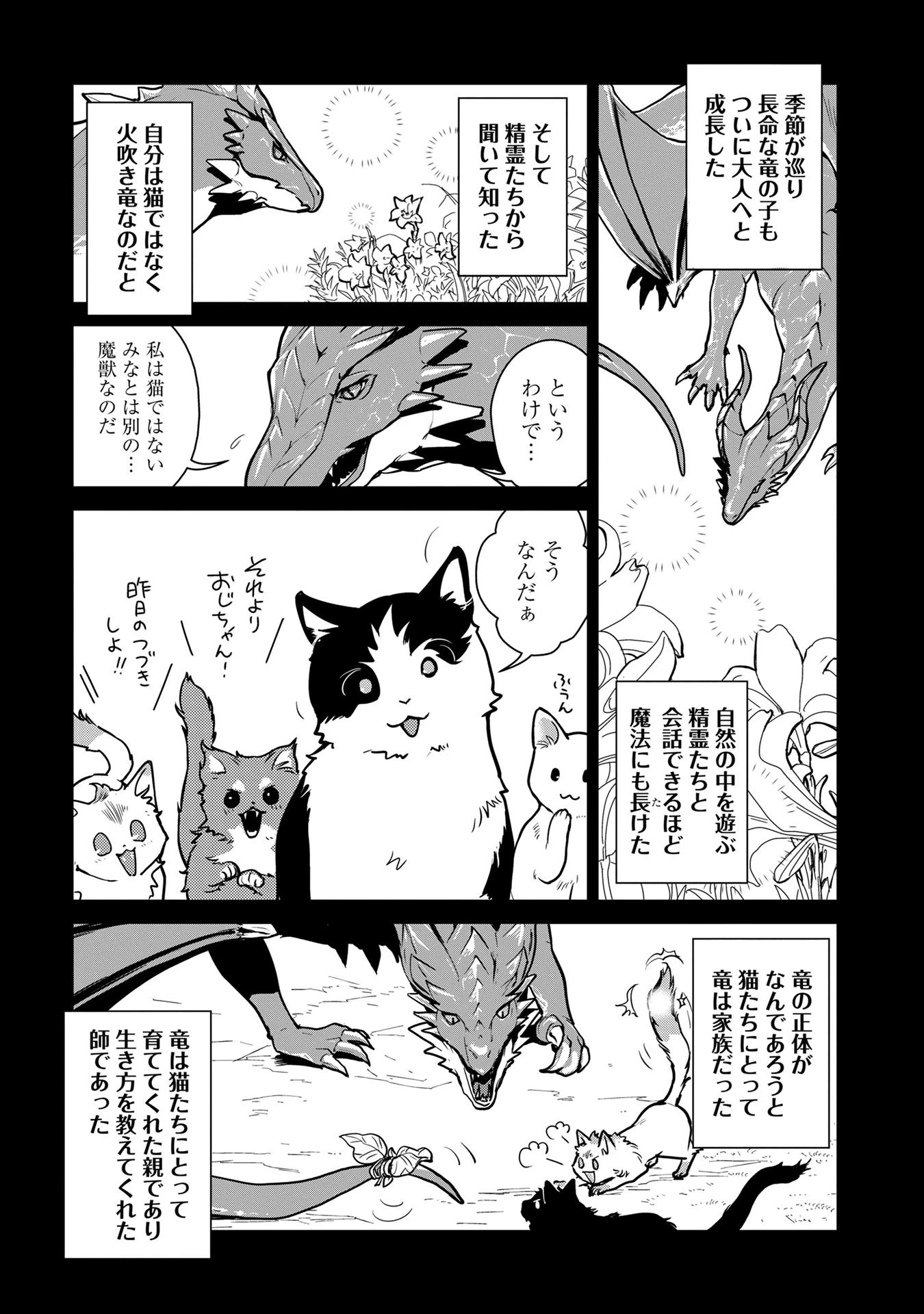 猫と竜 第1話 - 27