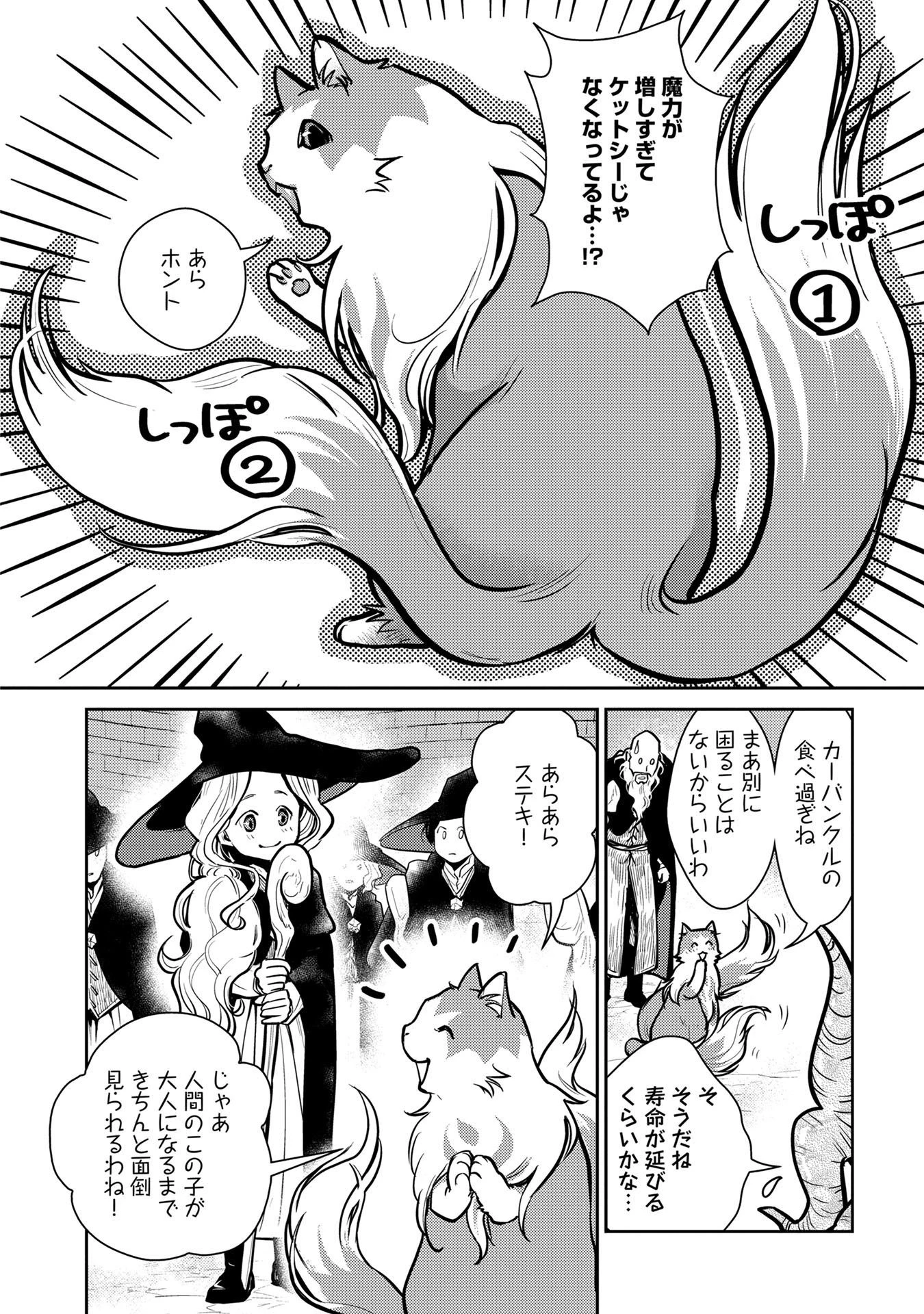 猫と竜 第2話 - 36