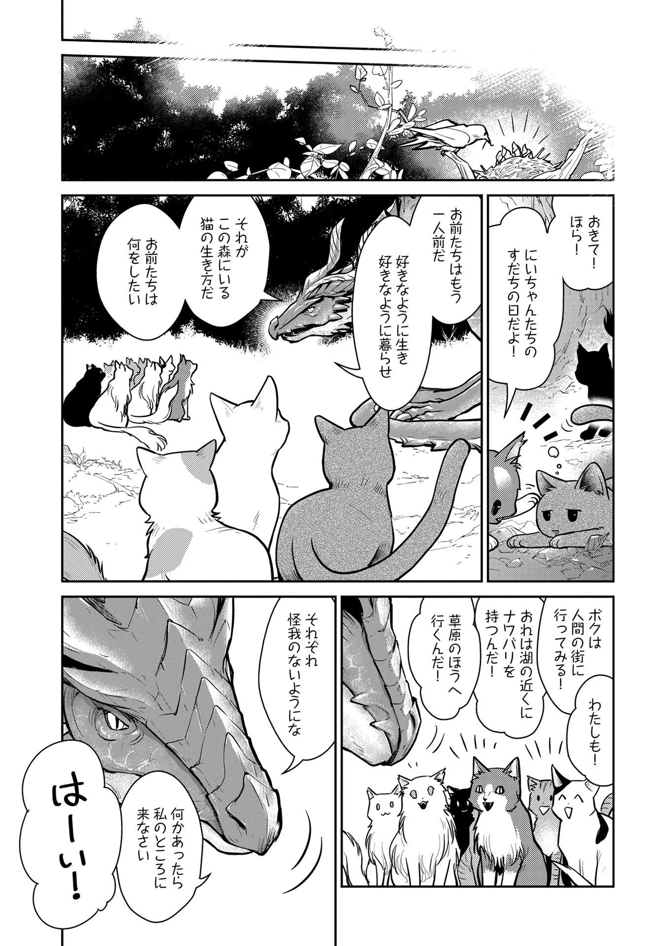 猫と竜 第3話 - 20