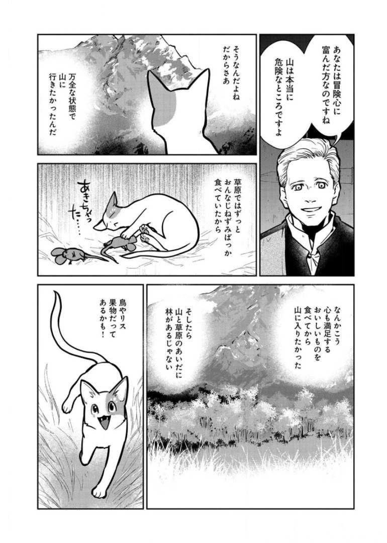 猫と竜 第6話 - 7