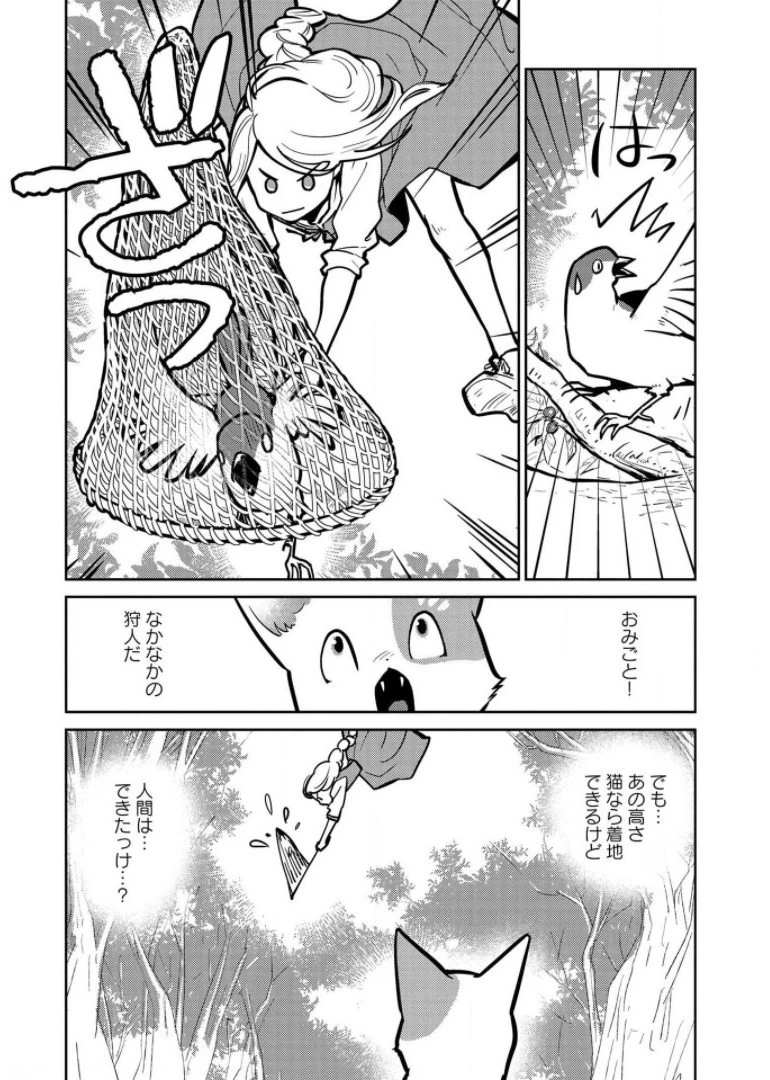 猫と竜 第6話 - 12