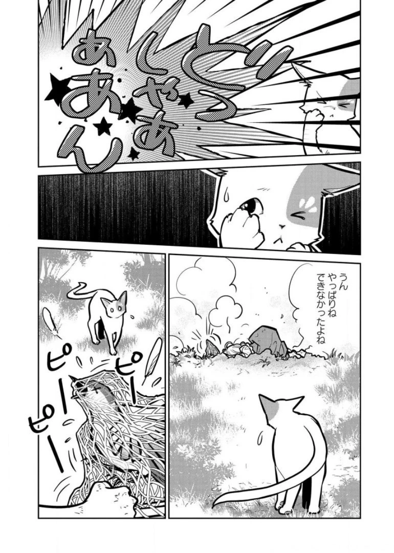 猫と竜 第6話 - 13