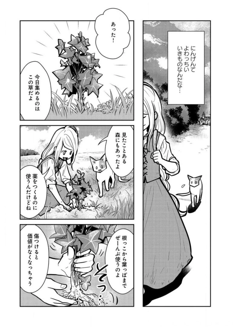 猫と竜 第7話 - 13