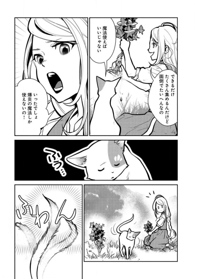 猫と竜 第7話 - 14