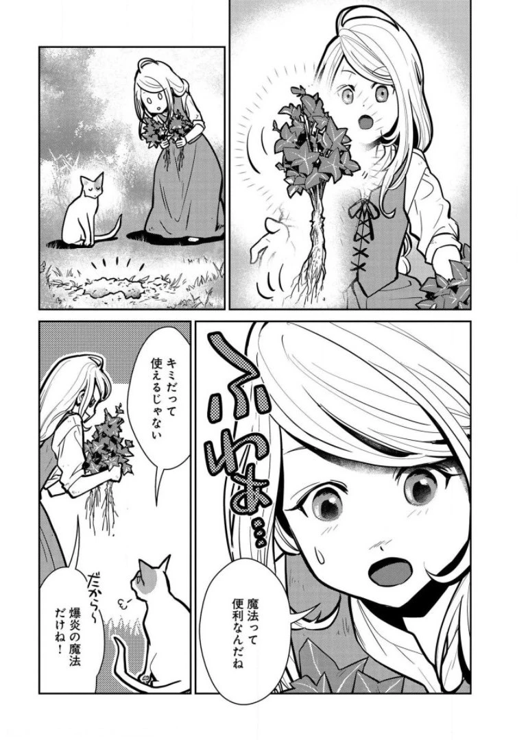 猫と竜 第7話 - 16