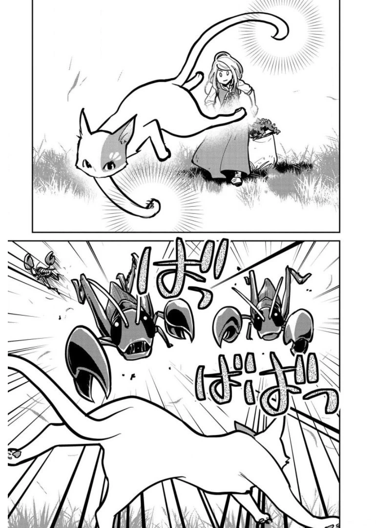 猫と竜 第7話 - 23