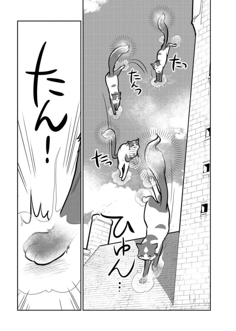 猫と竜 第8話 - 4