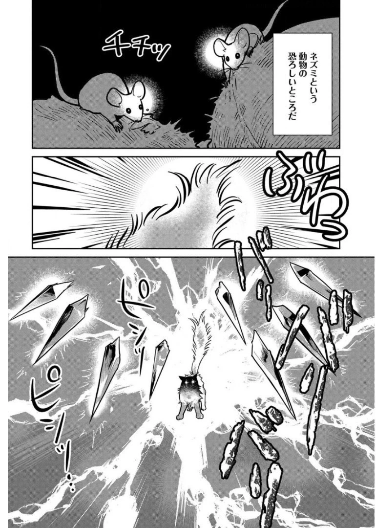 猫と竜 第8話 - 25