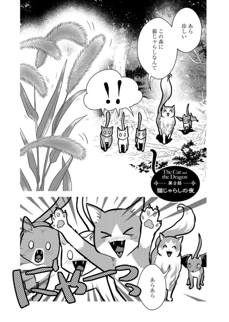 猫と竜 第9話 - 1