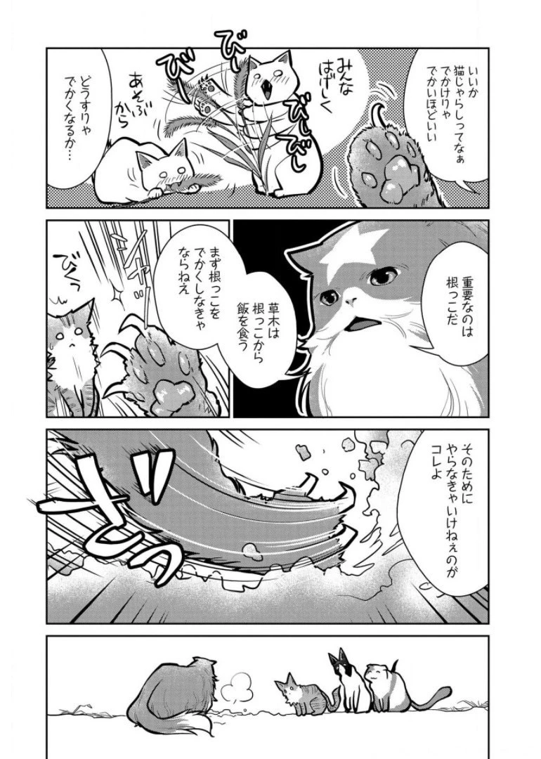 猫と竜 第9話 - 11